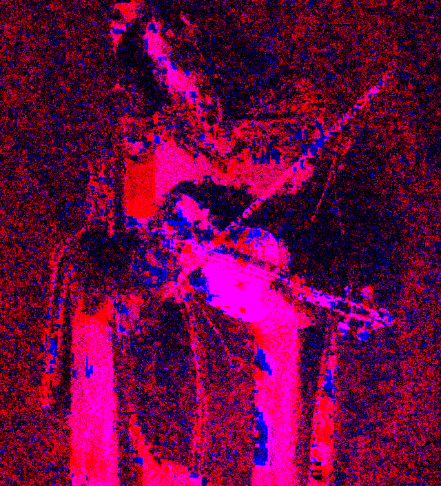 66