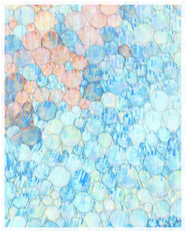 344000209