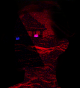 68
