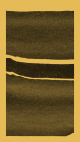 163000976